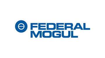 Federal-Mogul GmbH